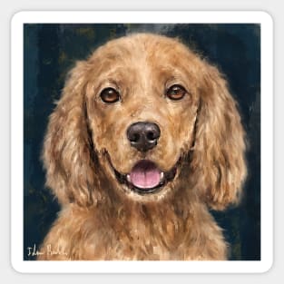 Painting of a Red Curly Cocker Spaniel Smiling Sticker